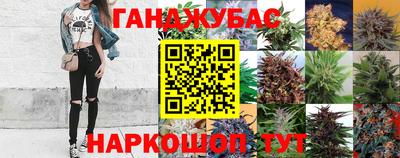 PSILOCYBIN Тверь