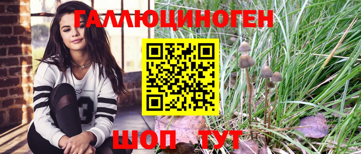 Конаково  Галлюциногенные грибы мухоморы  Вход с VPN  Псилоцибиновые грибы прущие грибы 