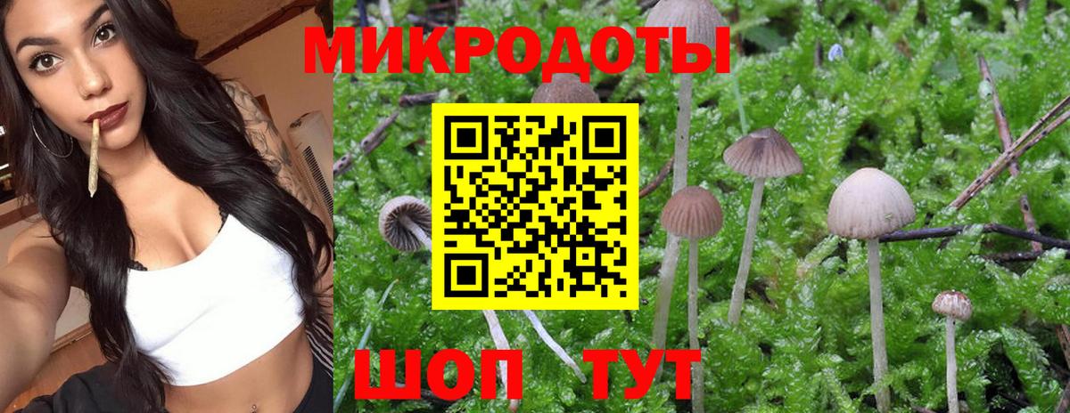 Псилоцибиновые грибы GOLDEN TEACHER Конаково